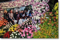 Blumenfestival in Chiang Mai 2011